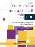 Teoría y Práctica de La Auditoría II Análisis de Áreas y Casos P-1