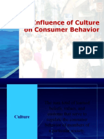 Cultural Impact On Consumer Behaviour
