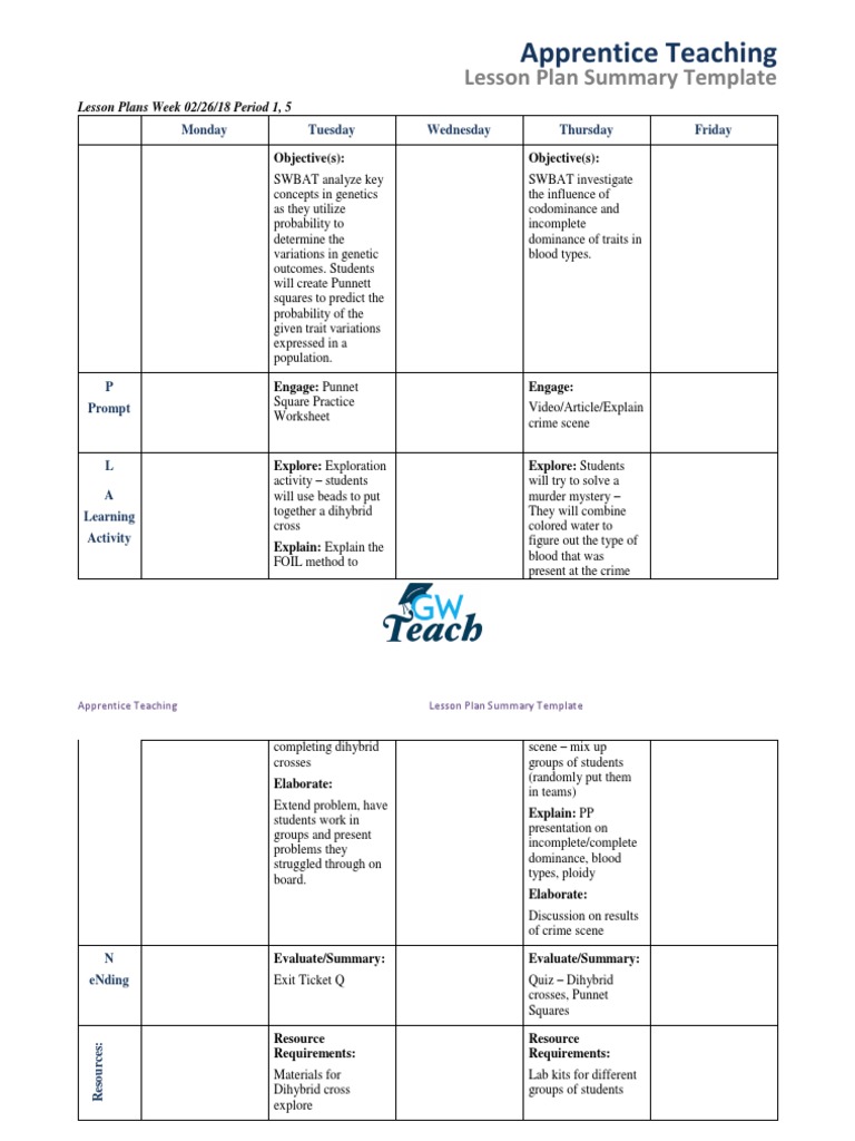 apprentice-teaching-lesson-plan-summary-template-pdf-lesson-plan