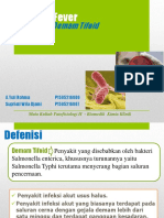 Klp.2-Pato Demam Typhoid Yuli Supriati