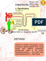 Sindrom Nefrotik: Pembimbing: Letkol CKM. Dr. Sugianto, SP - PD