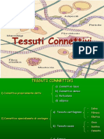 Istologia - Connettivo