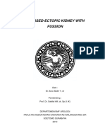 crossed-ectopic kidney with fussion.pdf
