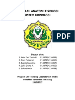 Makalah Sistem Urinologi