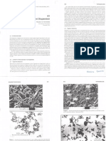 Pigment_dispersion.pdf