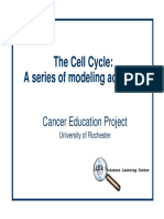 cell_cycle_ppt.pdf
