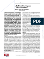 Jackson Review Microrna 2007