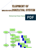 Development of Musculoskeletal System
