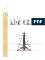 Cadenas Musculares PDF