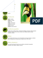 Animales Informacion Biologia