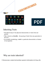 prokaryoticchromosome-structureandorganization-140108025859-phpapp02.pptx