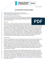 Cellular and Molecular Mechanisms of Muscle Atrophy