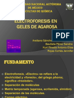 electroforesis-en-agarosa.pptx