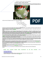 Cochineal, Carmine, Carminic acid (E120) - Natural Food Coloring