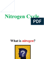 1nitrogen Cycle