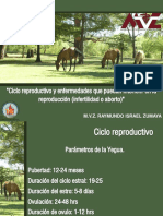 cicloreproductivoypatologiasoenfermedadesquepuedaninterferirenlareproduccioninfertilidadoaborto-130701001912-phpapp01