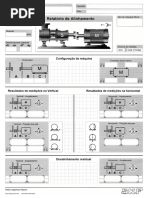 Relatório de Alinhamento (Português)