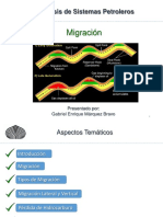 Migracion Presentacion