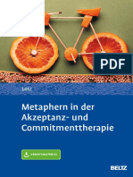Metaphern in Der ACT PDF