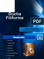 9 Ducha-D Filiforme en Hidroterapia