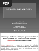 Aula 2 Resposta Inflamatória