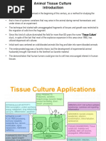 Download Animal Tissue Culture by Hui Jun Hoe SN37240040 doc pdf
