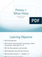 Pemicu-1 Meili Kel 12 SH