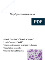 Staphyloccocus Aureus