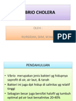 Vibrio Cholera 2