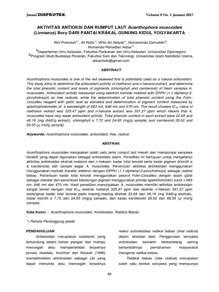 Jurnal Antioksidan PDF