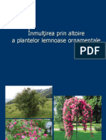 Altoire pomi-arbusti-etc.pdf