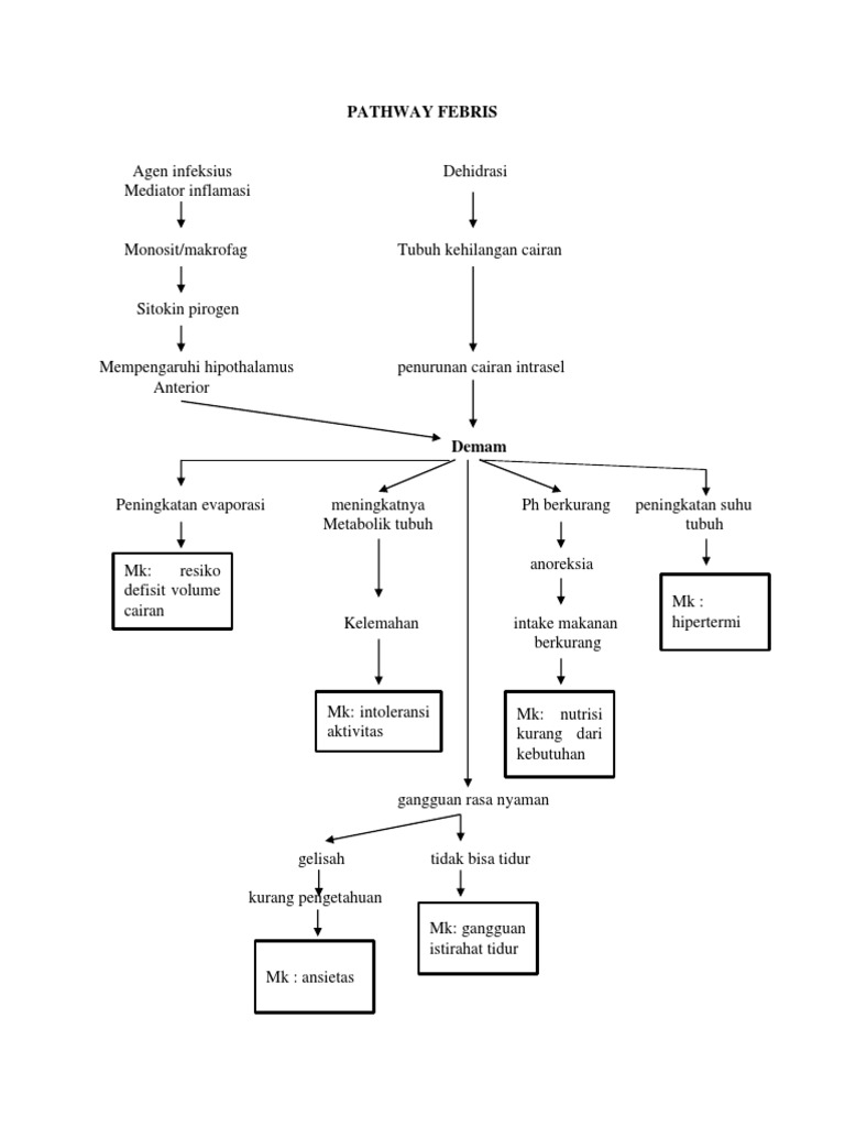 Pathway Febris | PDF