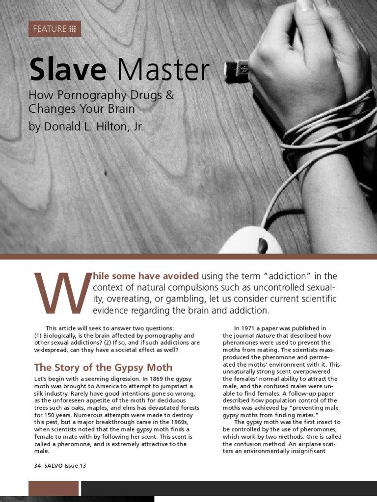 Slave Master | PDF | Dopamine | Reward System