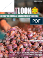 Outlook Bawang Merah 2016