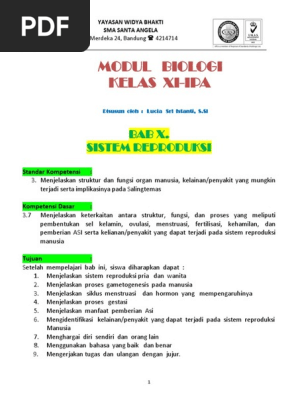 Kunci Jawaban Biologi Esis Kelas Xi Bab Ekskresi Guru Ilmu Sosial