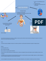 Infografias de Fisio