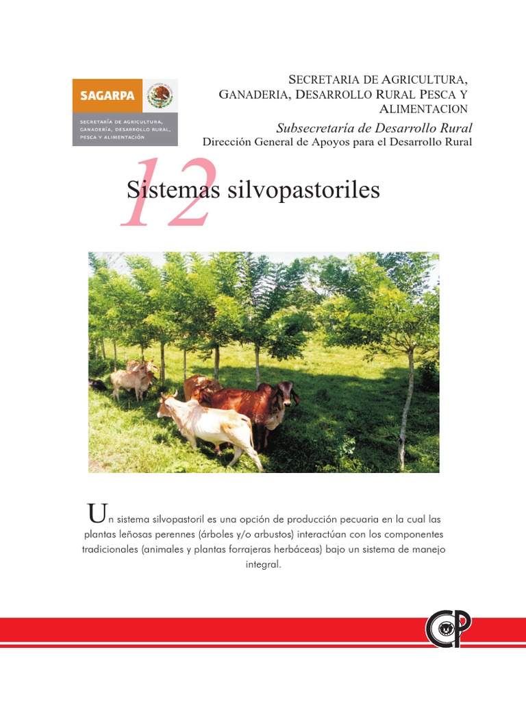 Cultivo En Hidropona Sedici Unlp