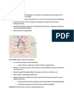 Abdominal Cavity