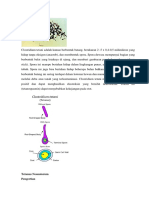 Clostridium Tetani