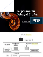 Sejarah Keperawatan Lanjutan