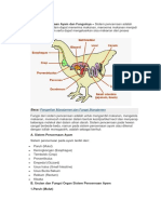 Sistem Pencernaan Ayam Dan Fungsinya