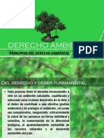 AMBIENTAL PRECATORIO.pdf