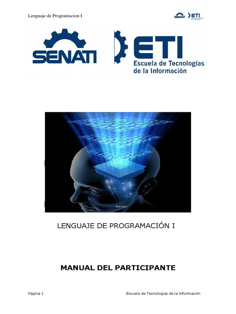 Manual Lenguaje de Programacion 1 | PDF | .NET Framework | Básico