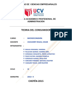 Informe Teoria Del Consumidor