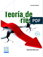 Teoría de Riesgo - Diz PDF