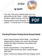 Ayam 120719063310 Phpapp02