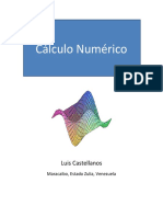 Cálculo numérico Luis Castellanos.pdf