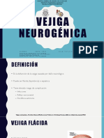 Vejiga Neurogénica