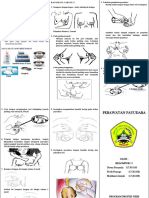 Leaflet Perawatan Payudara