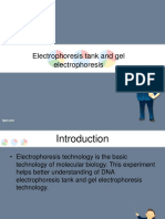 Electrophoresis Tank and Gel Electrophoresis